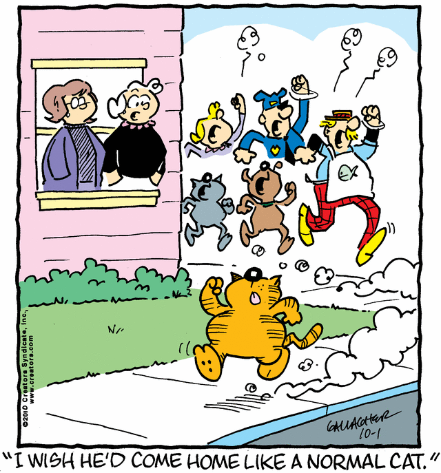 heathcliff